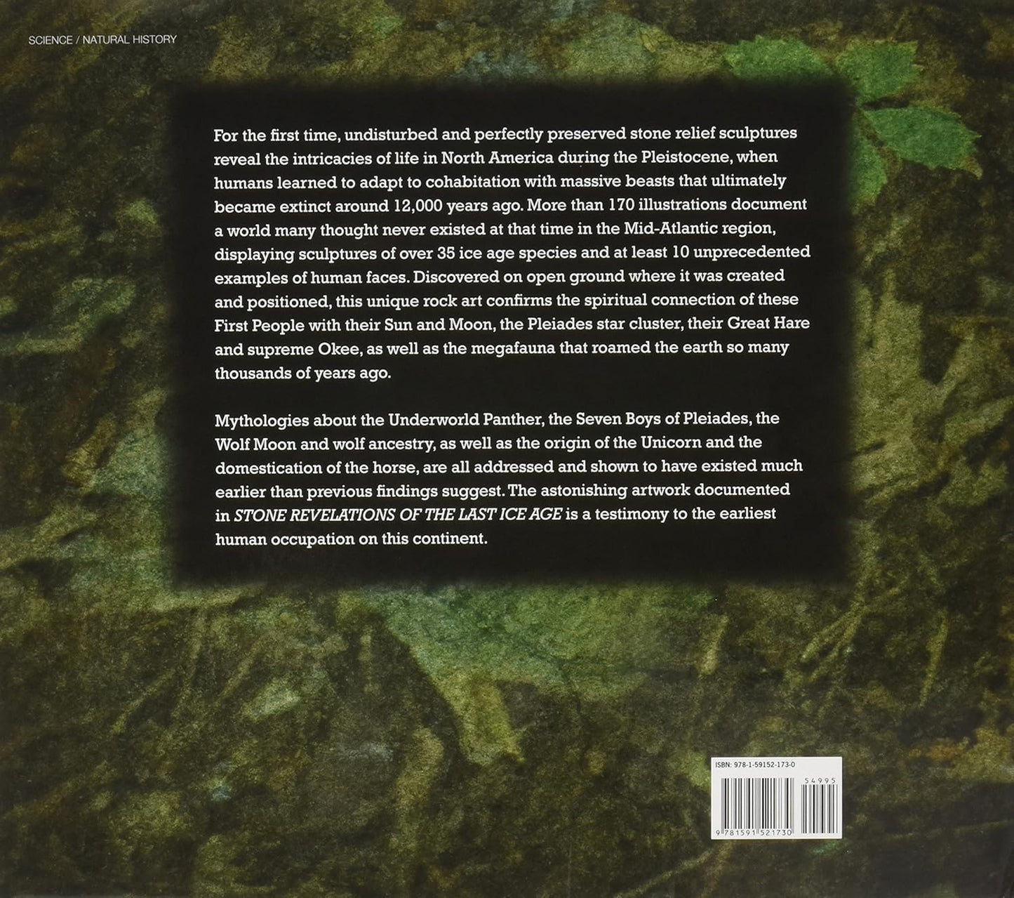 Stone Revelations of the Last Ice Age: Ancient Mid-Atlantic Relief Sculptures of Human Faces and Extinct Megafauna by Harold E. Young, Jr.